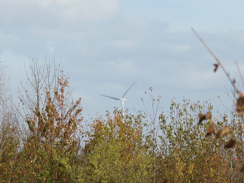 Wind kam von halbrechts auf den Hang. Wenn man genau von vorne auf das Windrad schauen kann kommt auch der Wind am Hang direkt von vorne