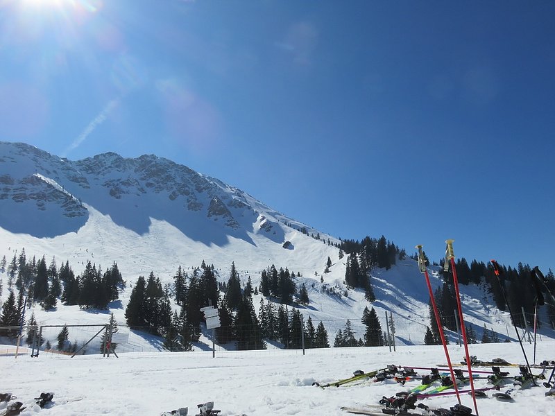 Klein_IMG_1746.jpg