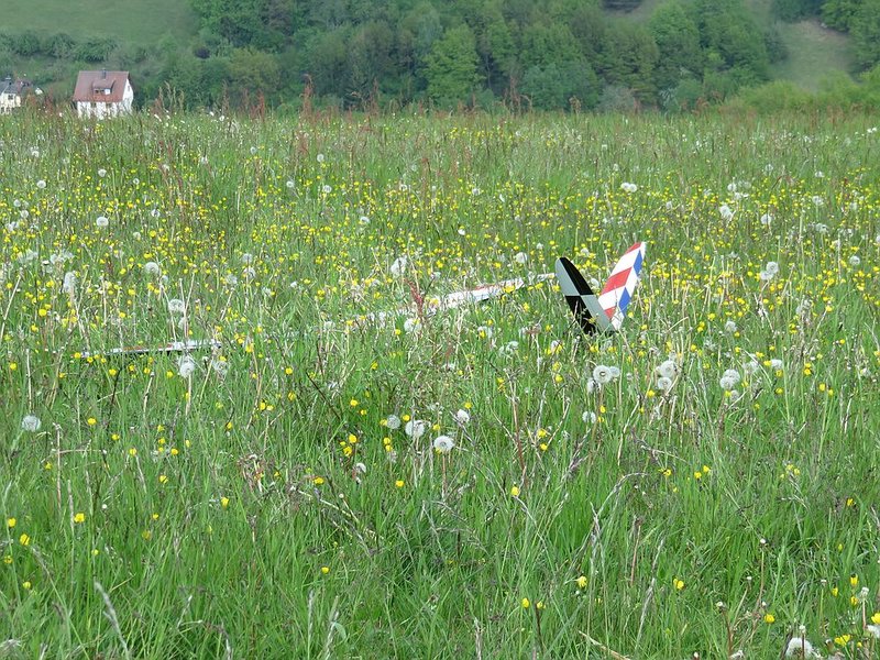 Klein_IMG_2871 - Kopie.jpg