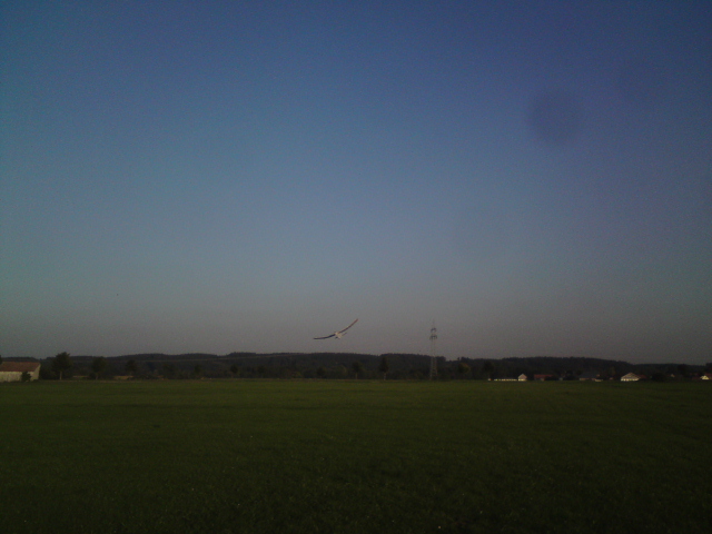 DSC00799.JPG