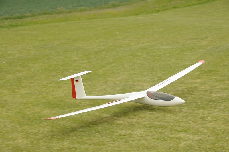comp__DSC0311.jpg