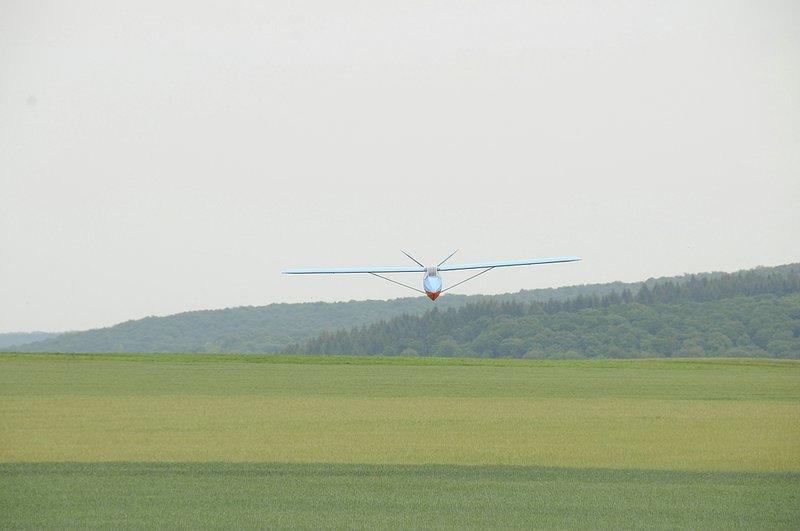 comp_comp__DSC0277.jpg