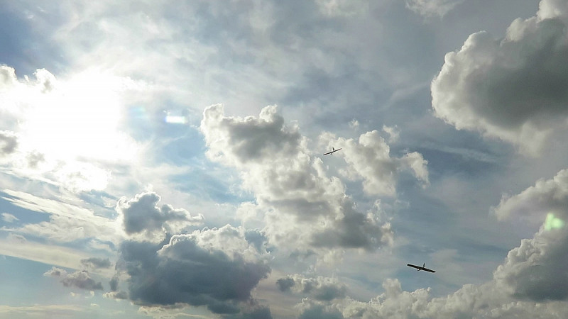 Klein_Lilloo und Scandera2.jpg