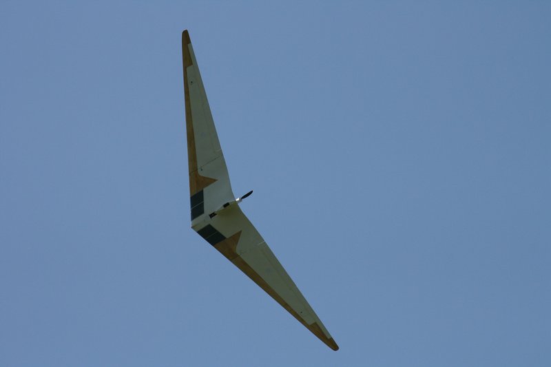 Horten IIIe 4,1 m, fotografiert von Stephan Brehm beim Nurflügeltreffen am Bodensse 2010