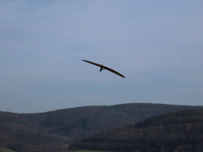 DAA785D9-473D-4EE7-B99B-8D94D0937A78.jpeg