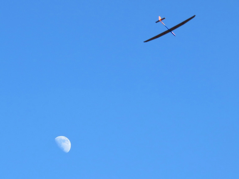 Klein_IMG_3601 (2).jpg