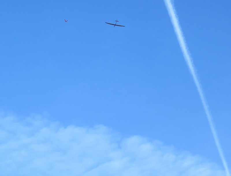 Klein_IMG_3936 (2).jpg