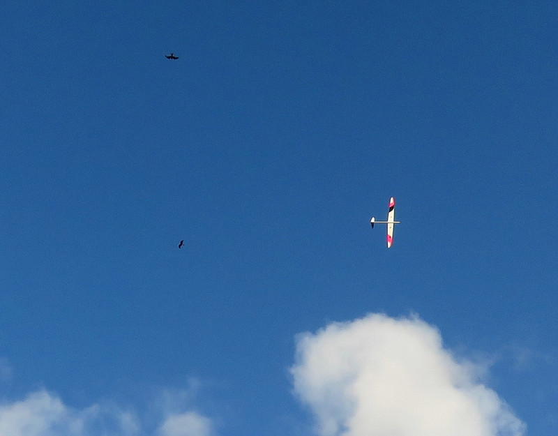 Klein_IMG_4606 (2).jpg