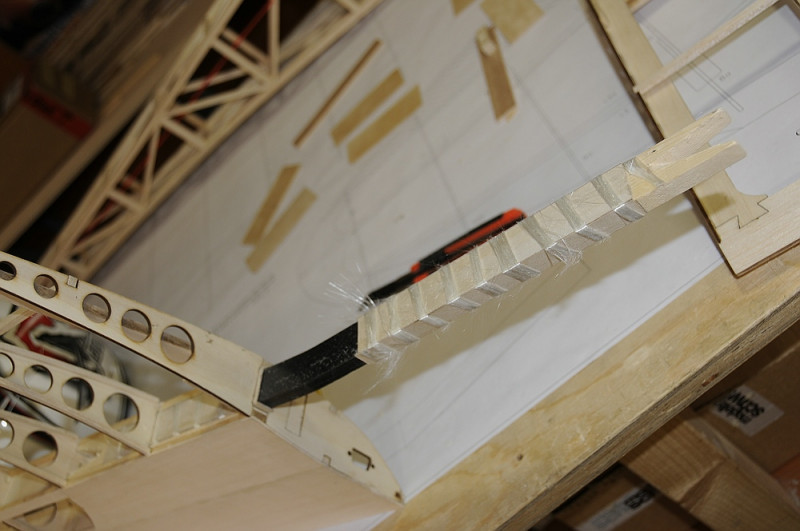 comp__DSC1087.jpg