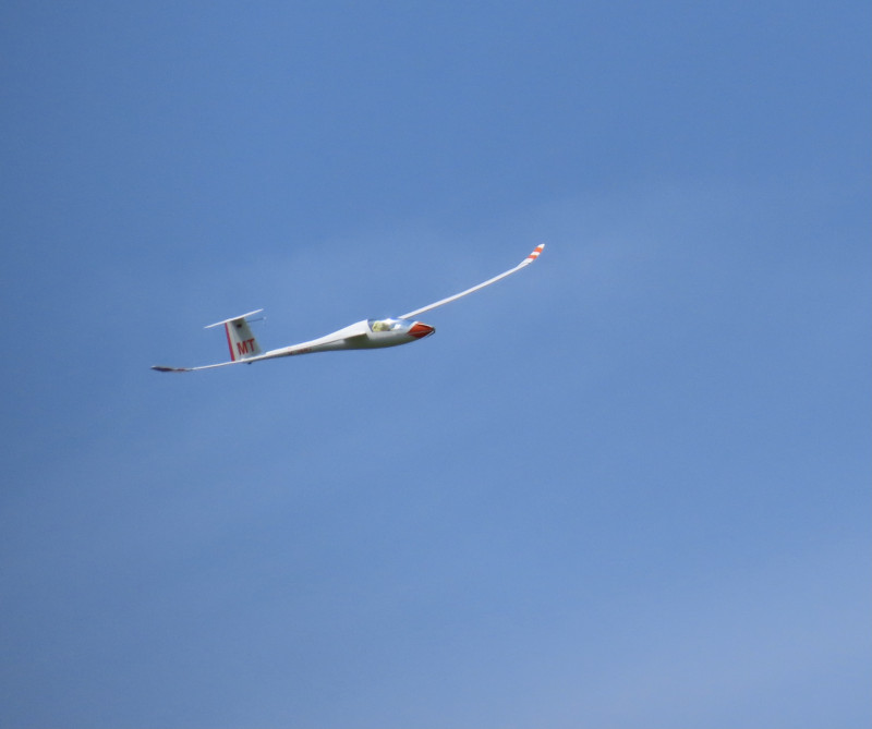 C4462B09-DB1A-4B58-AE26-AF6797826245.jpeg