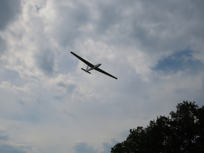 F45AB965-9156-4AE3-9E98-9011DE6F8609.jpeg
