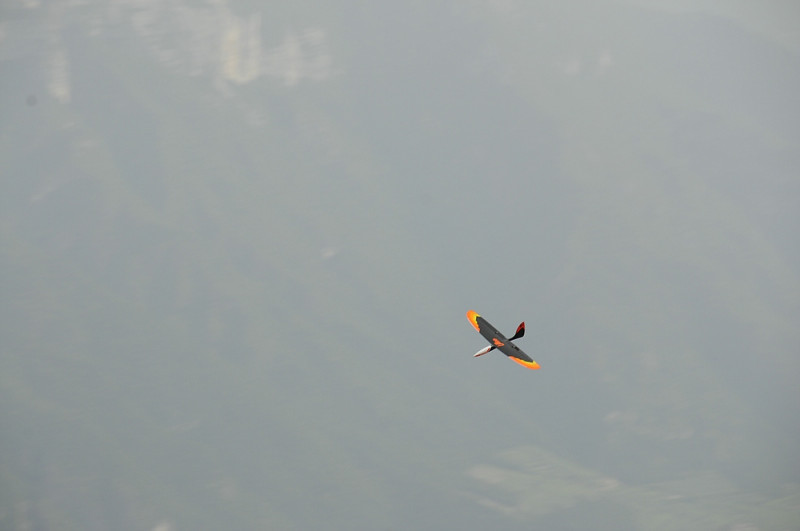klein__DSC1248.jpg