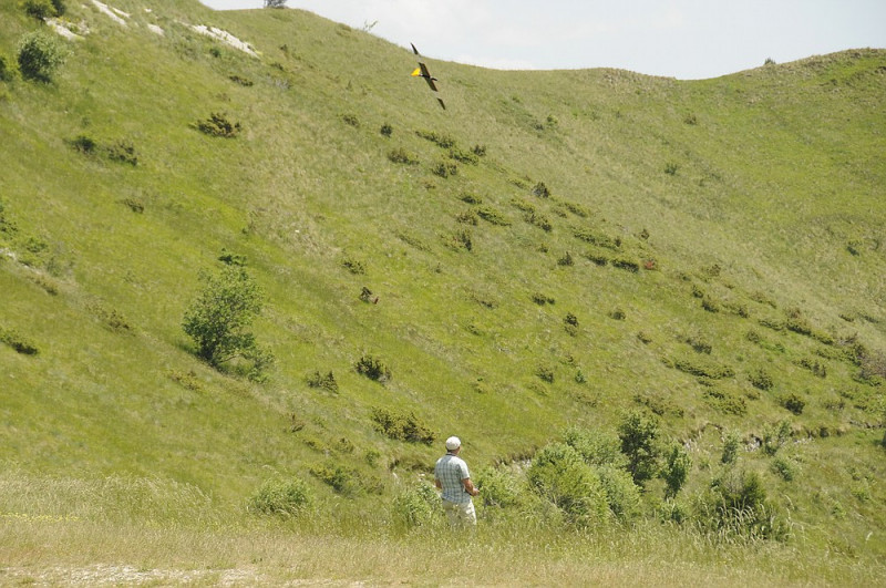 klein__DSC1255 - Kopie.jpg