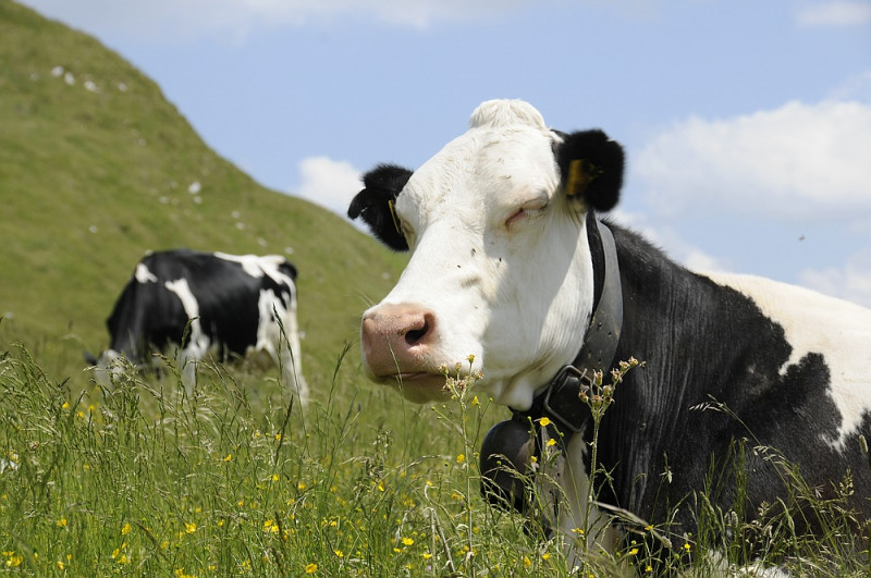 klein__DSC1385 - Kopie.jpg