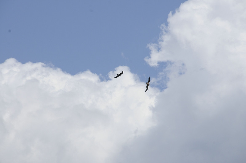 klein__DSC1388 - Kopie.jpg