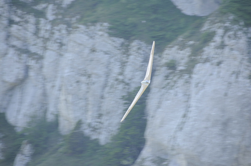 klein__DSC1402 - Kopie.jpg