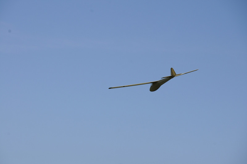 klein__DSC1503 - Kopie.jpg