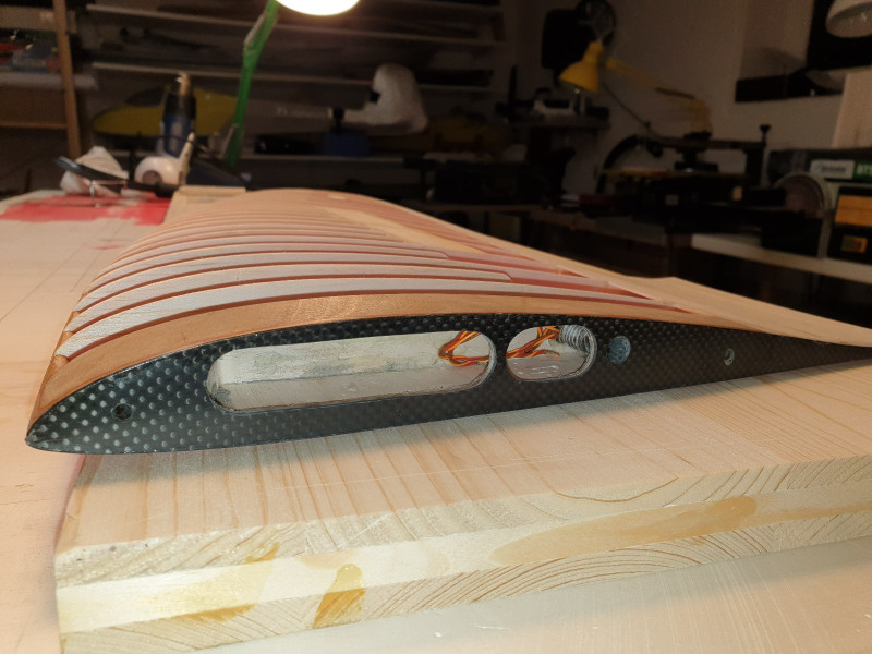 20210717_222414_copy_1600x1200.jpg (370.43 KiB) 5840 mal betrachtet CFK Rippe