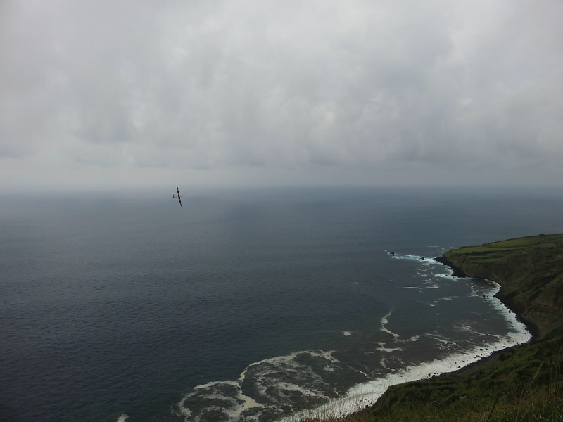 klein_IMG_2021 - Kopie.jpg