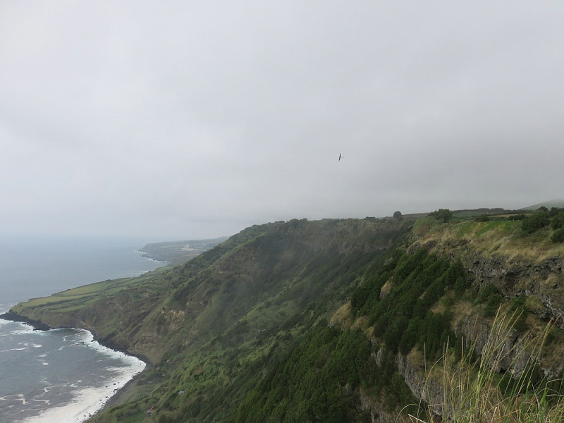 klein_IMG_2076 - Kopie.jpg