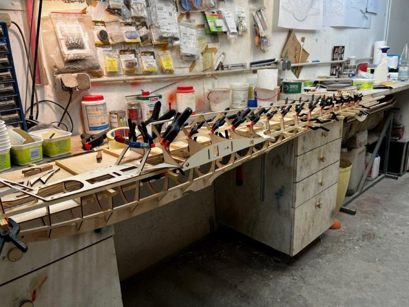 2022 01 17 Star 13  (30).jpg