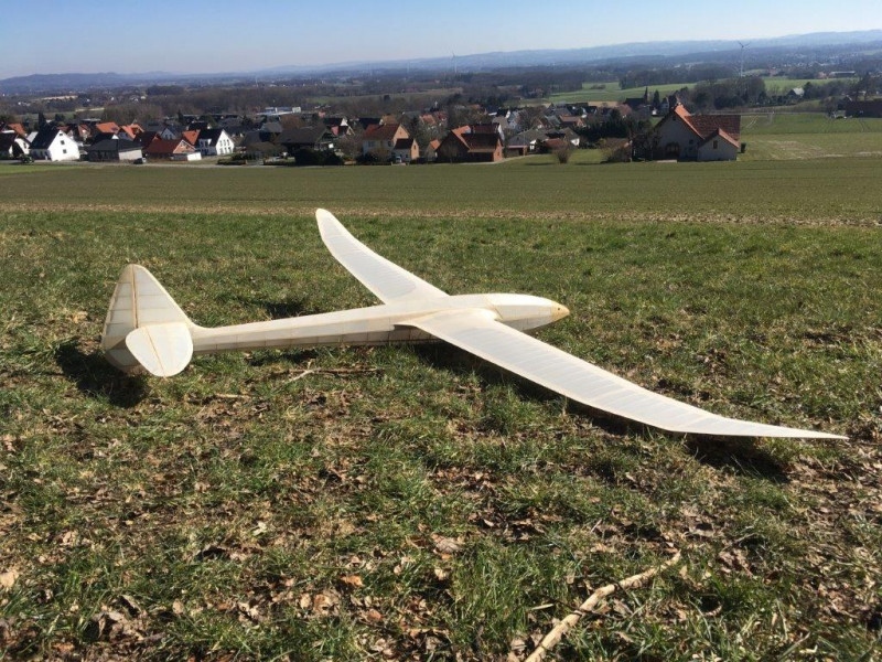 2022 03 09 Star 13  (2).jpg