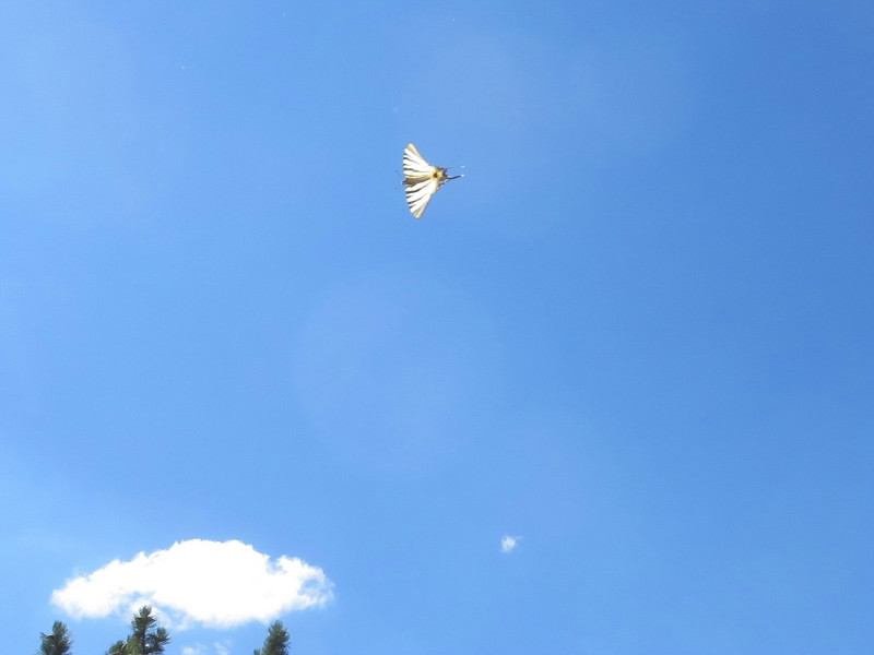 klein_IMG_1696 (2).jpg