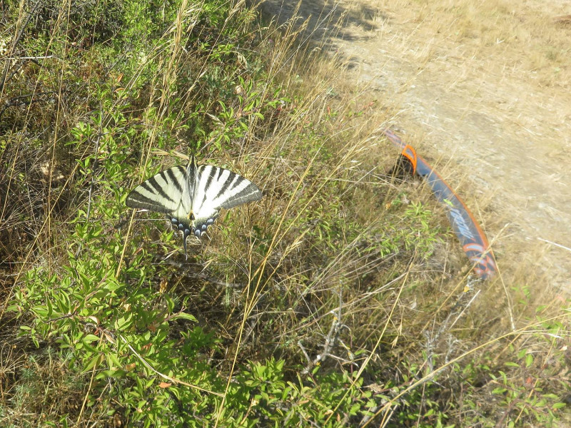 klein_IMG_2352 (2).jpg