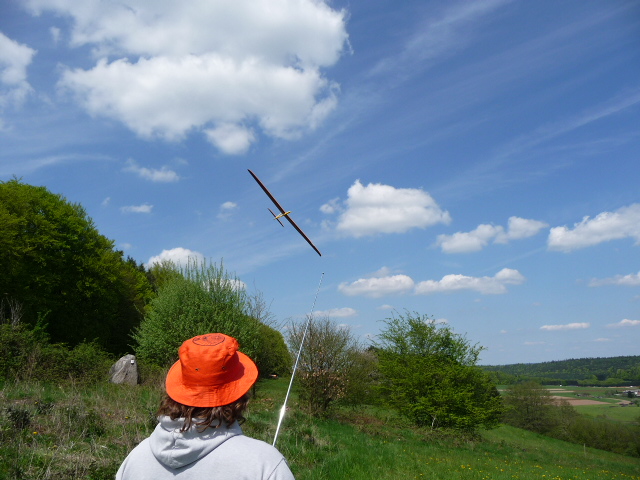 Fliegen klein 088.jpg