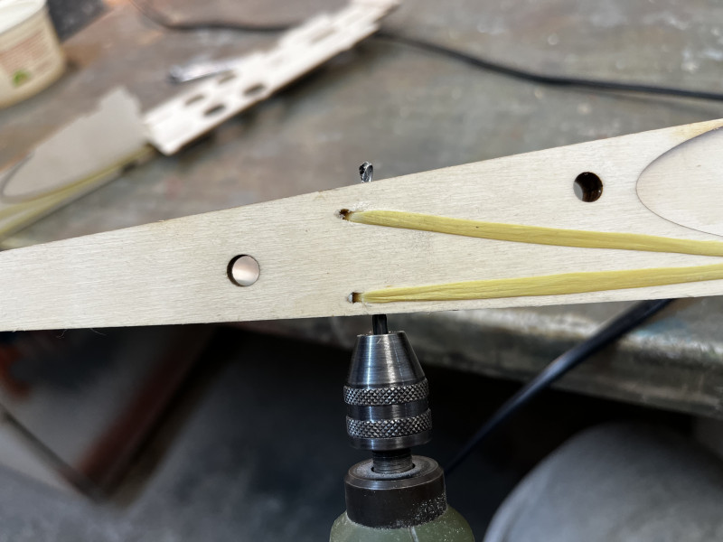 2022 11 27 Flebatron (8).JPG