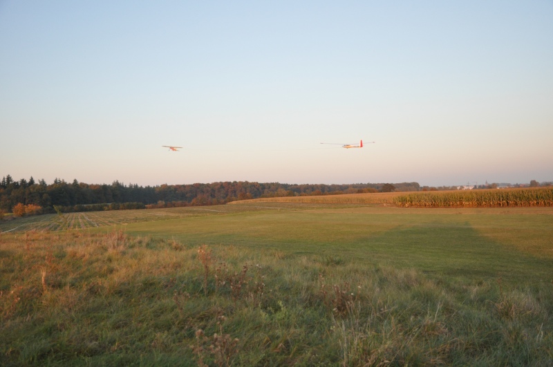 DSC_6615.jpg