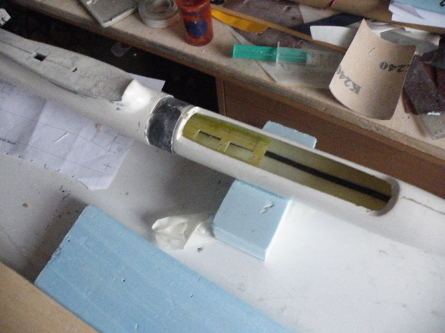 Servo platte eingeharzt