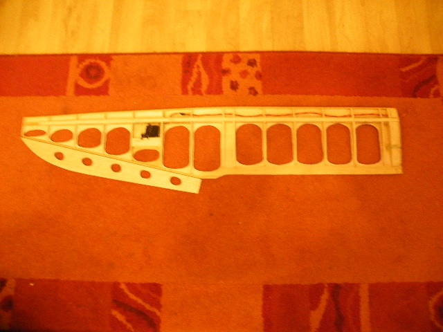 Fläche mit Rippen und Servo