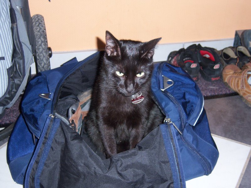 Kamerabilder 021.jpg