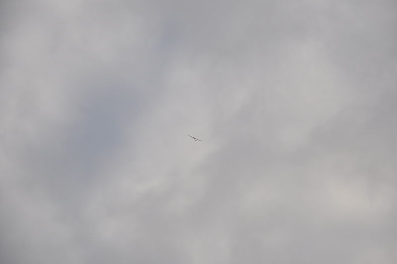 DSC_6934.jpg