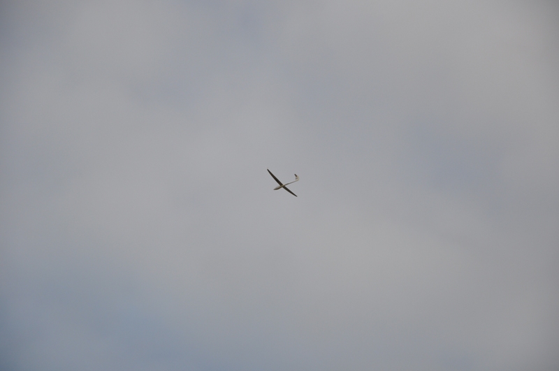 DSC_6951.jpg