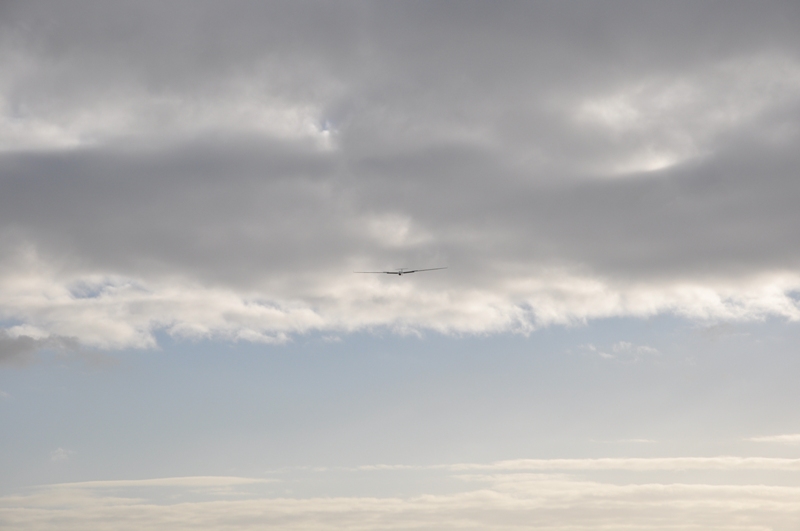 DSC_6956.jpg