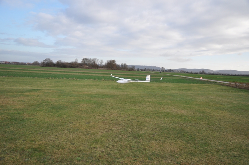 DSC_6960.jpg