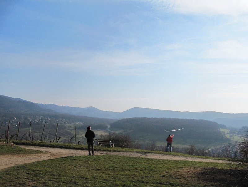 Baui und Rona Vorher