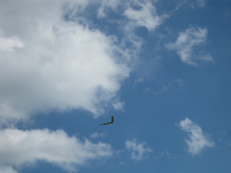 Ist die innovative Anbringung der Winglets der Grund für die guten Leistungen und die Schwierigkeiten beim landen damit sind der Preis den man daführ zu zahlen hat? :-)