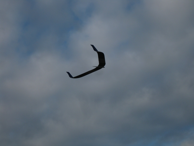 Science-Fiction-Silhouette