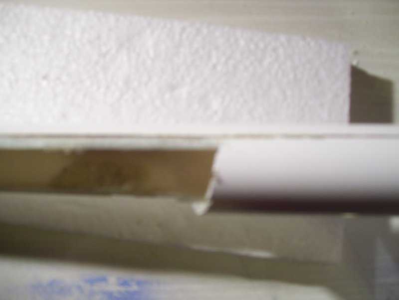 comp_100_1552.jpg