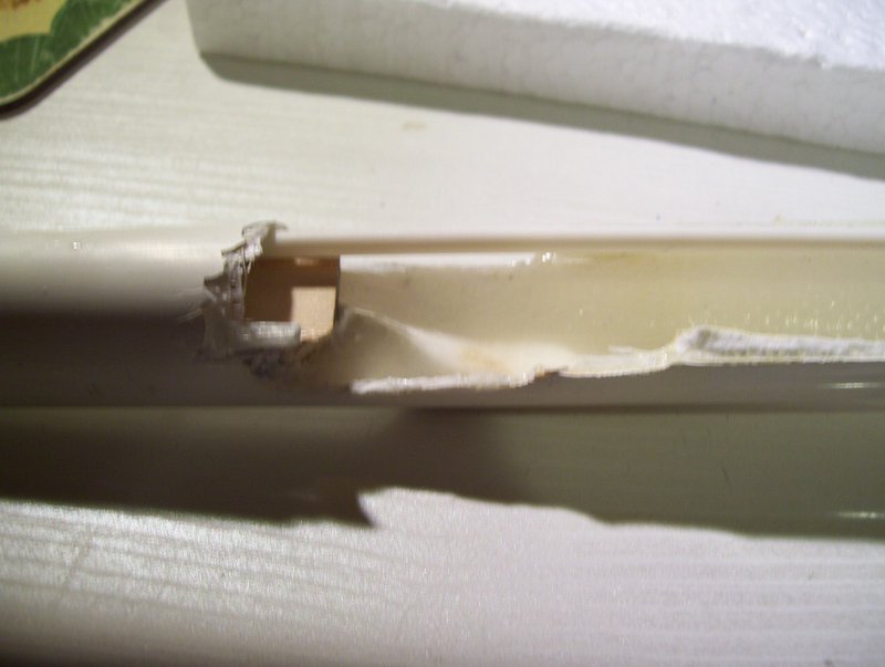 comp_100_1554.jpg