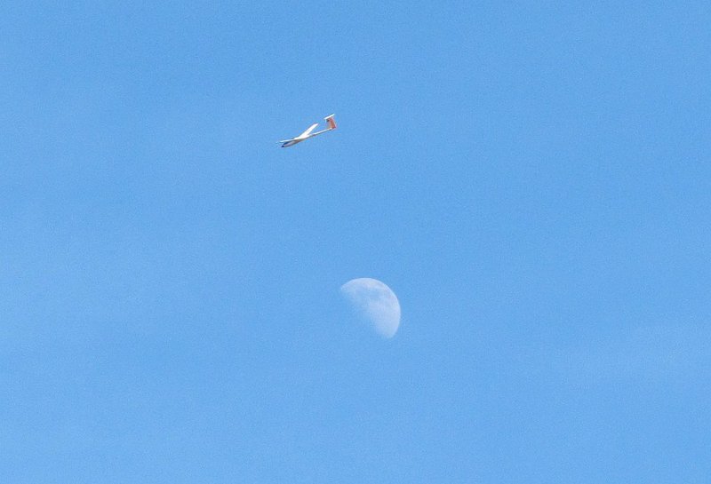 Die Else und der Mond