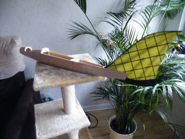DSCF2477.JPG