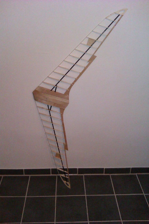 IMAG0079.jpg
