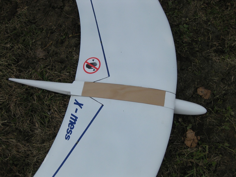 Langnasenrumpf mit Eigenbau-Sperrholzdeckel