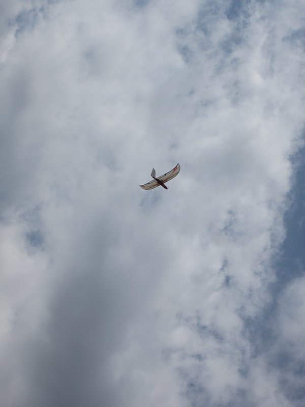 Bernds ertaunliches geodätisch aufgebautes Brett