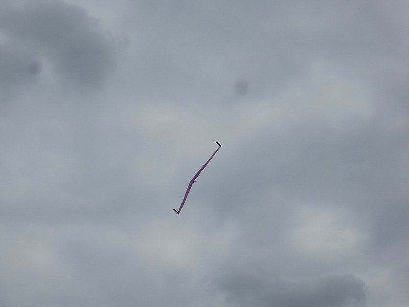 Resi im Flug=Werbung für Nurflügel