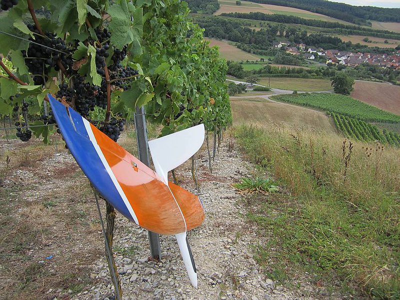 KleinIMG_1137.jpg
